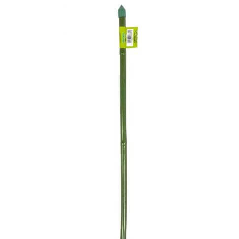 1 Tutore Canna Bamboo Plastificato Verde 60Cm