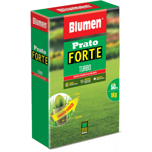 Semi Prato Forte Turbo - 1 kg