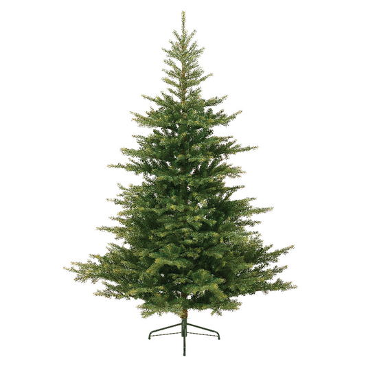 Albero di Natale Grandis Fir Ø172 x H 270 cm