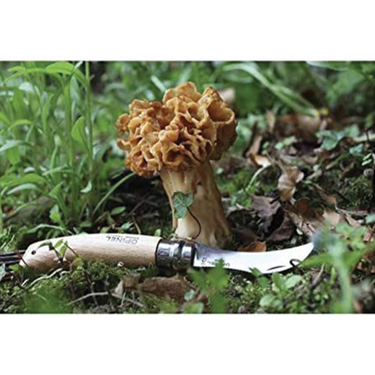 Coltello funghi con manico in legno