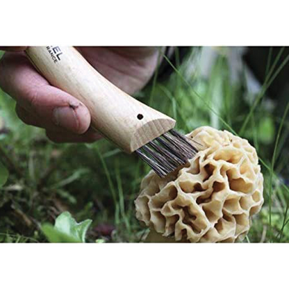 Coltello funghi con manico in legno