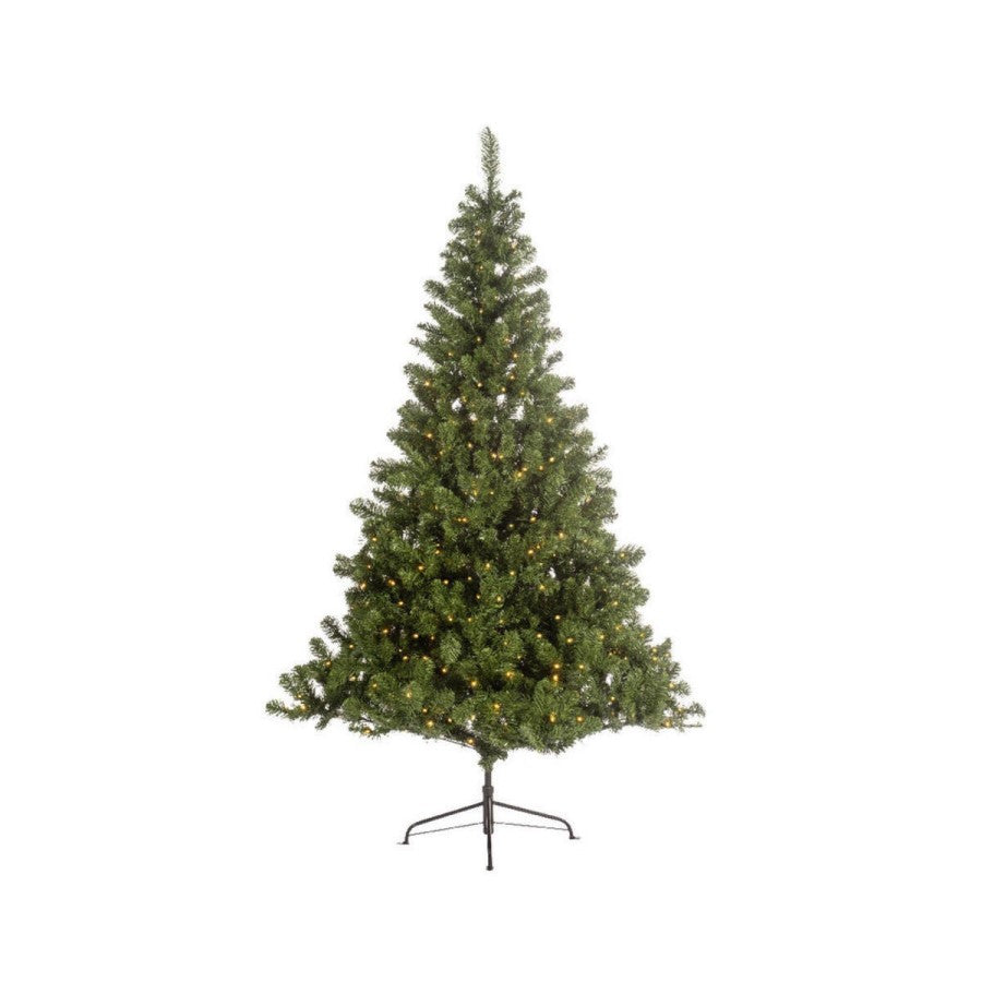 Albero Imperial Pine 600L H240 x D147