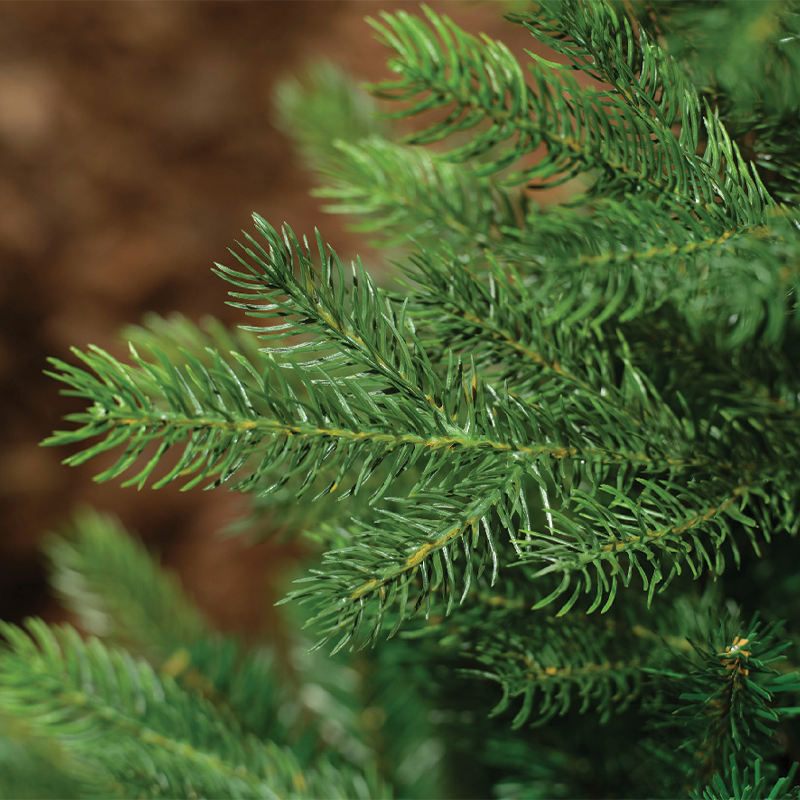 Albero di Natale Grandis Ø110 x H 150 cm