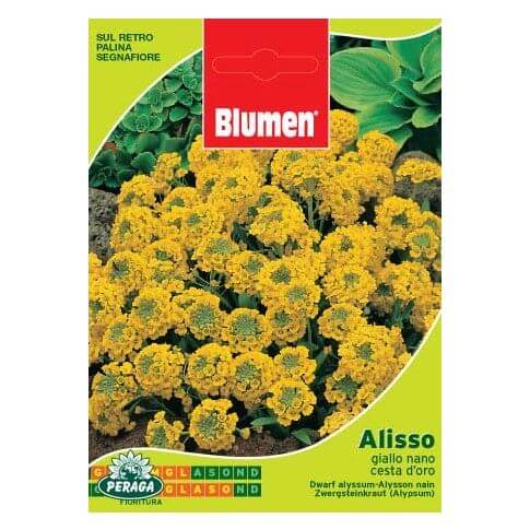 Bustina Con Semi Di Alisso Giallo Nano Cesta D'Oro